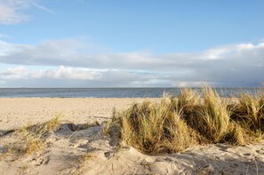 Uma praia de areia com grama ao primeiro plano e um céu claro.