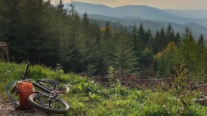Berglandschap met een fiets en uitrusting op de voorgrond, omgeven door dicht bos en verre heuvels.