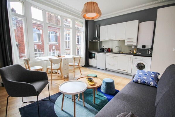 TV - Fully-equipped apartment in city center (Lille)