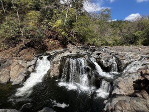 Una cascada fluye sobre terreno rocoso, rodeada de vegetación densa.