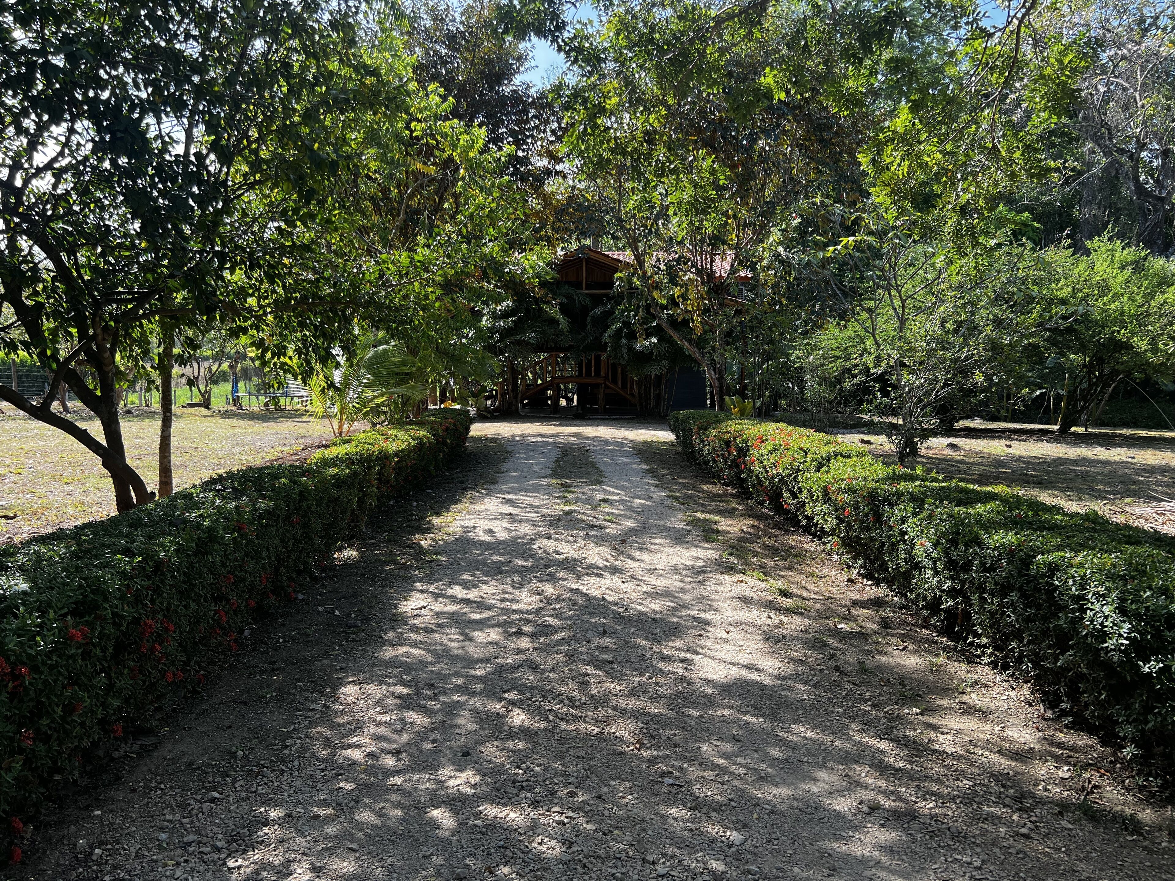 Àrea exterior de l'allotjament