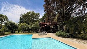 Ein rechteckiger Swimmingpool mit klarem, blauem Wasser, umgeben von Sand und Bäumen.
