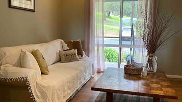 Smart TV, fireplace, books, stereo