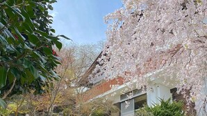 A traditional Japanese building with a wooden staircase leading up to a white entrance. - Spaciouse Private Hot Spring, Spotless 3 BDR with Stylish Modern Japanese Deco (Ito)