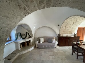Smart TV, chimenea y libros 