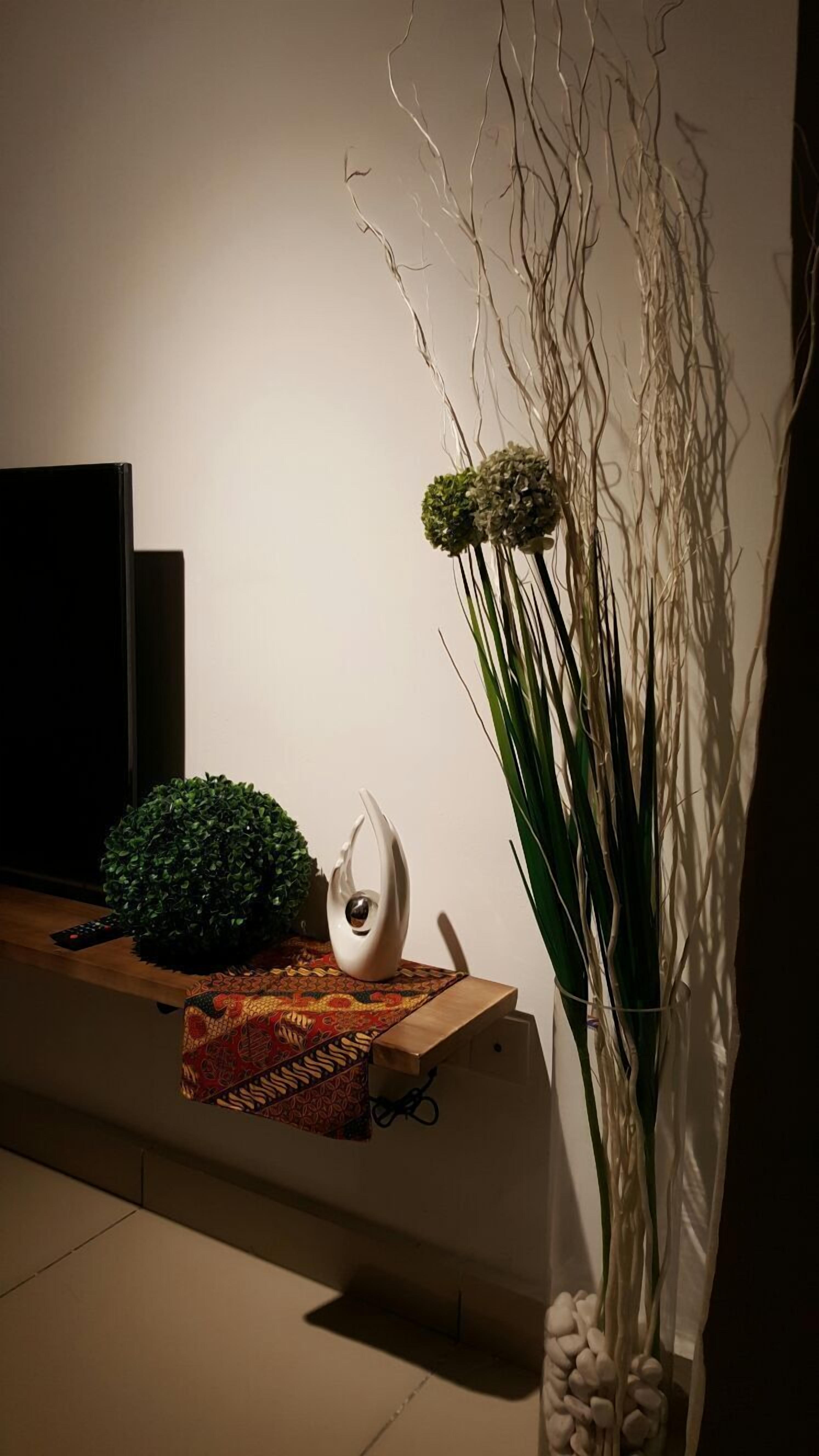 A room with a wooden shelf holding a television, a decorative plant, and a white vase with a spherical object.