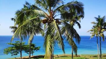 Private beach, white sand