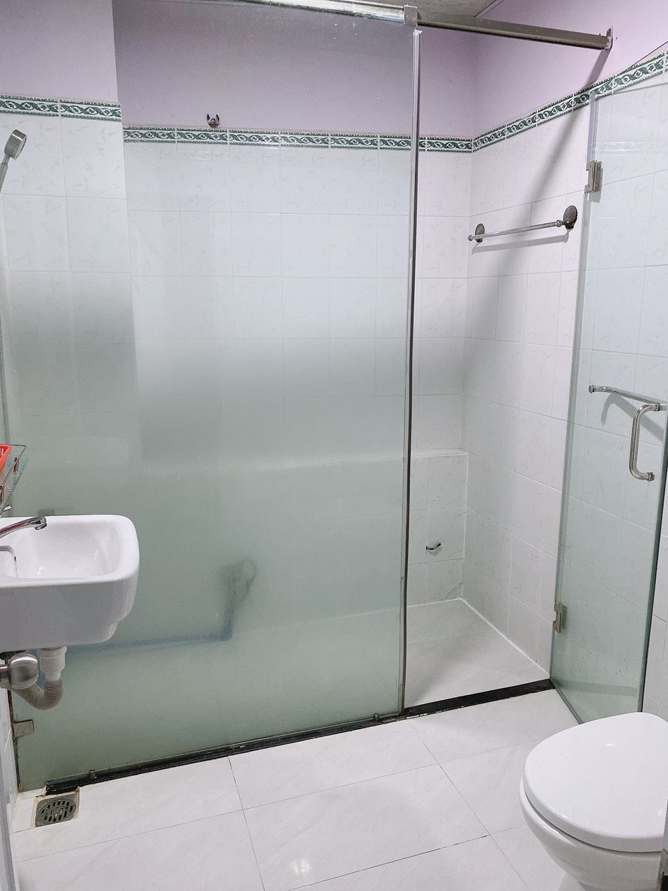 Un baño con ducha envuelta en vidrio, un lavabo y un inodoro.