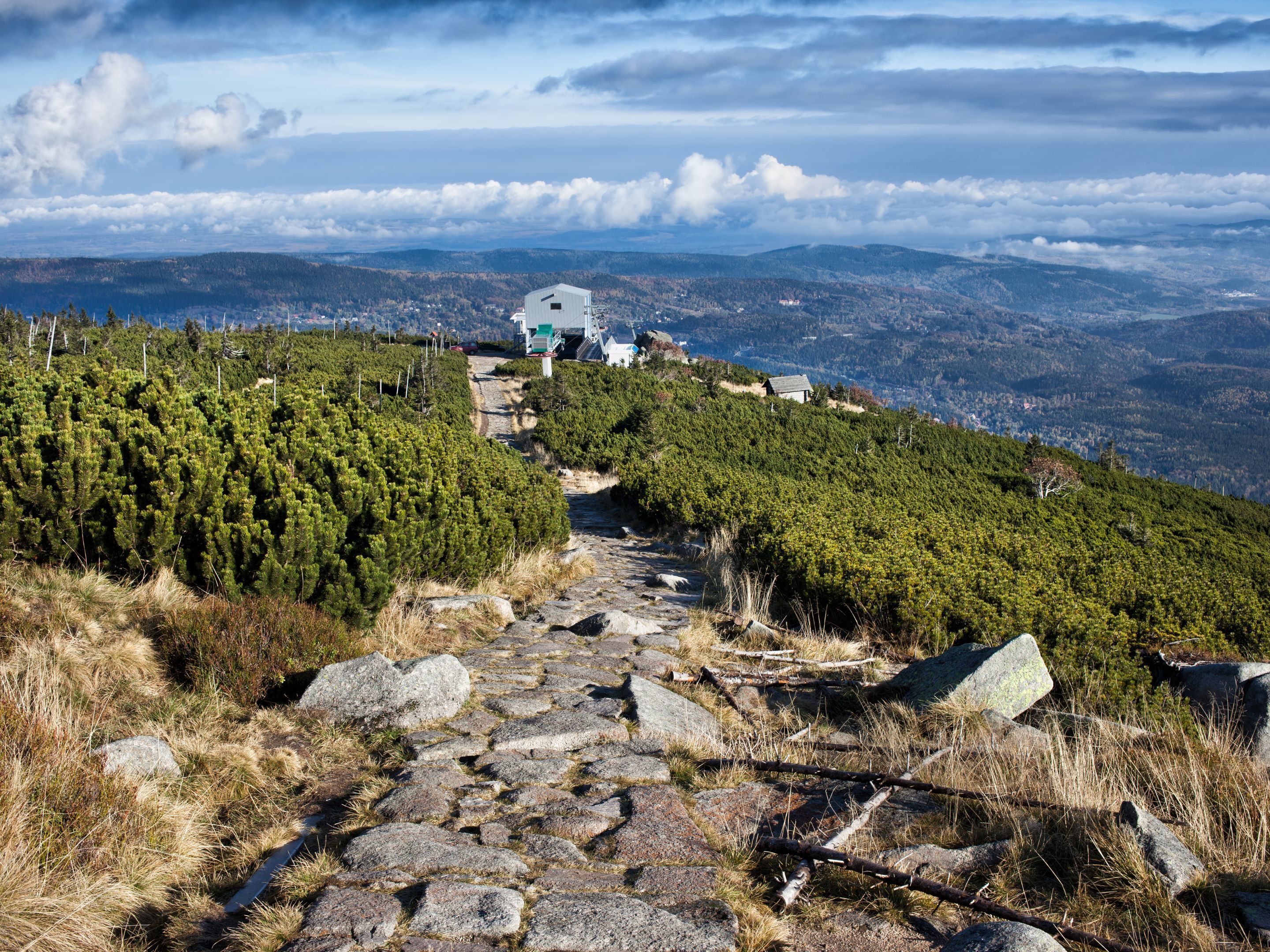 Ein gepflasterter Weg führt zu einem Gebäude mit Gründach, umgeben von dichtem Grün und einer bergigen Landschaft im Hintergrund.