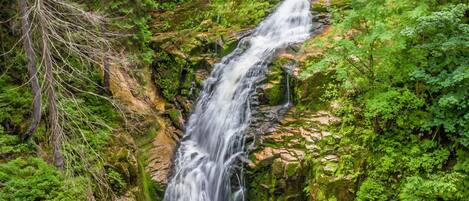 A waterfall cascading down a rocky cliff surrounded by lush greenery.
