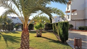 A well-maintained courtyard with palm trees, neatly trimmed hedges, and a paved walkway. - Beach Apartment in Vera Playa for 4 (Vera Playa)
