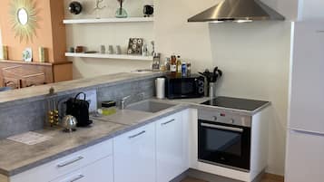 Family Apartment | Private kitchen | Full-size fridge, microwave, oven, stovetop