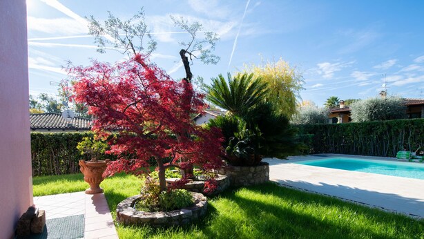Una piscina rodeada por un jardín bien cuidado con diversas plantas y un sendero de piedra que lleva a la piscina.