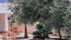 An outdoor seating area with wooden loungers and a stone bench, surrounded by olive trees and potted plants. - 2 Bedroom Apartment in Specchiolla (Specchiolla)