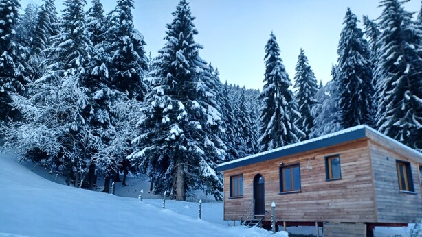 A wooden cabin with a black door and windows, surrounded by snow-covered trees. - Tiny House in Méaudre in the heart of nature (Vercors plateau) (Autrans-Méaudre en Vercors)