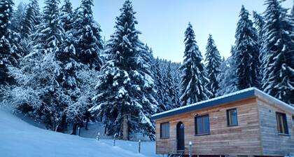 Tiny House in Méaudre in the heart of nature (Vercors plateau)