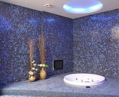 Deluxe Δίκλινο Δωμάτιο (Double) | Μπάνιο | Ξεχωριστές μπανιέρες και ντουζιέρες, μπανιέρες με πίδακες νερού