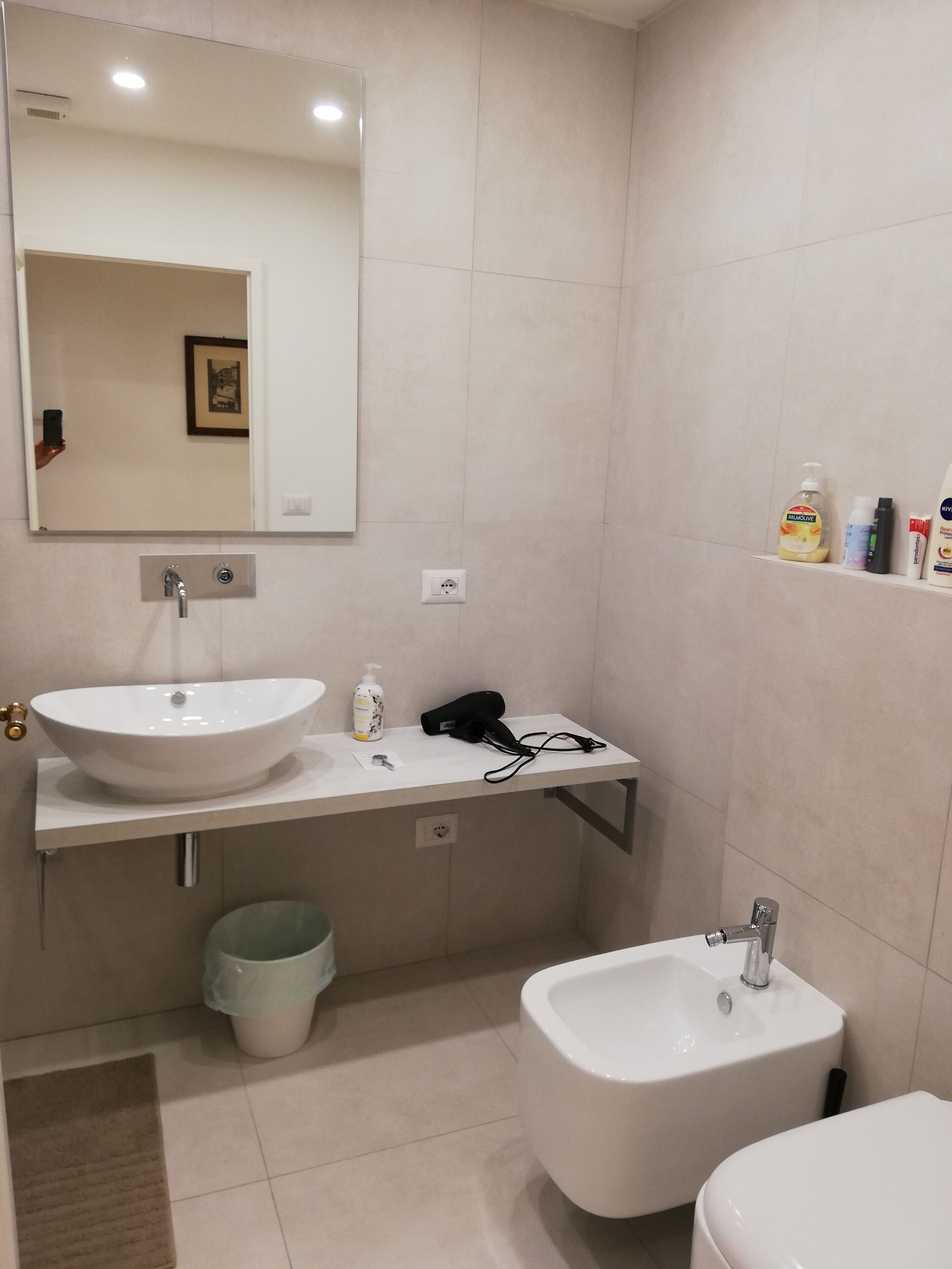 A bathroom with a white sink, a bidet, a mirror, and a shelf with toiletries.