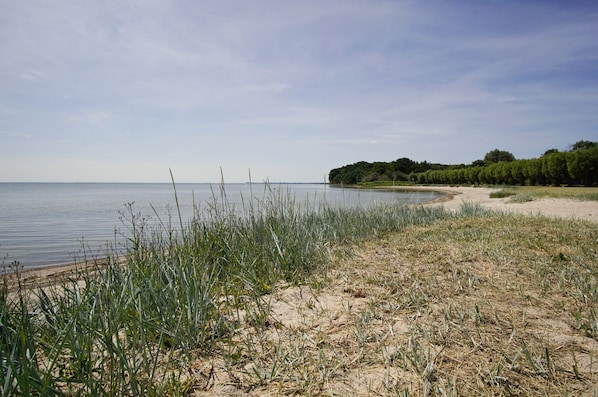 Vlak bij het strand