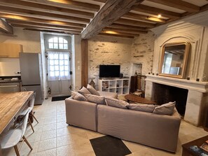 TV, fireplace, DVD player, books - Demeure du 18e Siècle Rénovée (Feneu)