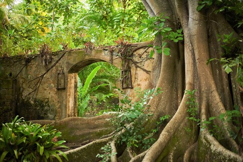 Frangipani Cottage at Balenbouche Estate, on 70 acres of beachfront property