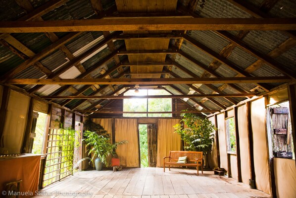 Cozy retreat with a wooden bench, potted plants, and a high ceiling.