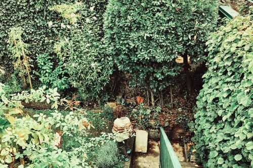 Casalago. Little house with terrace in Roman alleys.