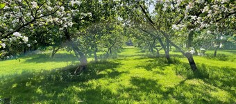 The Coach House Annex Malpas