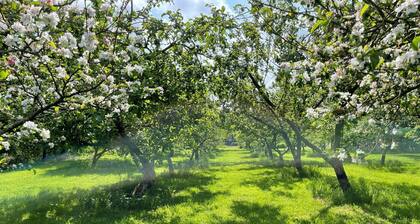 The Coach House Annex Malpas