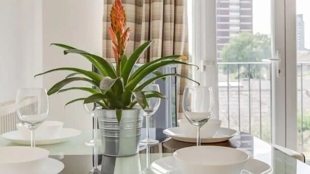 A dining table with a potted plant, white plates, and wine glasses. - Spacious One bed, Stratford, Westfields, London (London)