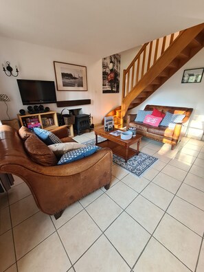 Tv, eldstad, dvd-spelare och böcker