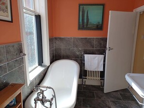 Shower, hair dryer - 25 Avenue Victoria, Flat 2 (Scarborough)