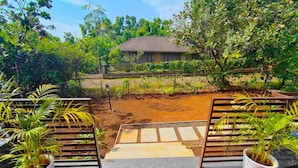 A pathway leading to a house surrounded by lush greenery.