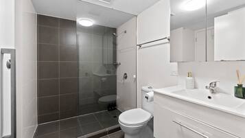 Shower, hair dryer, towels, soap