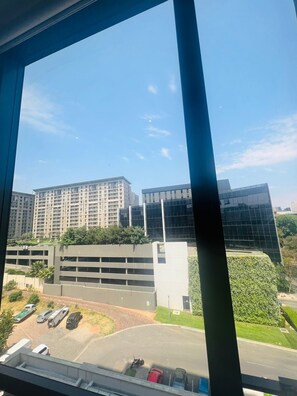 Interior - Luxury Apartment in Sandton Skye Hotel Suites (Sandton)