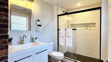 A modern bathroom with a glass shower enclosure, a white sink, and a toilet.