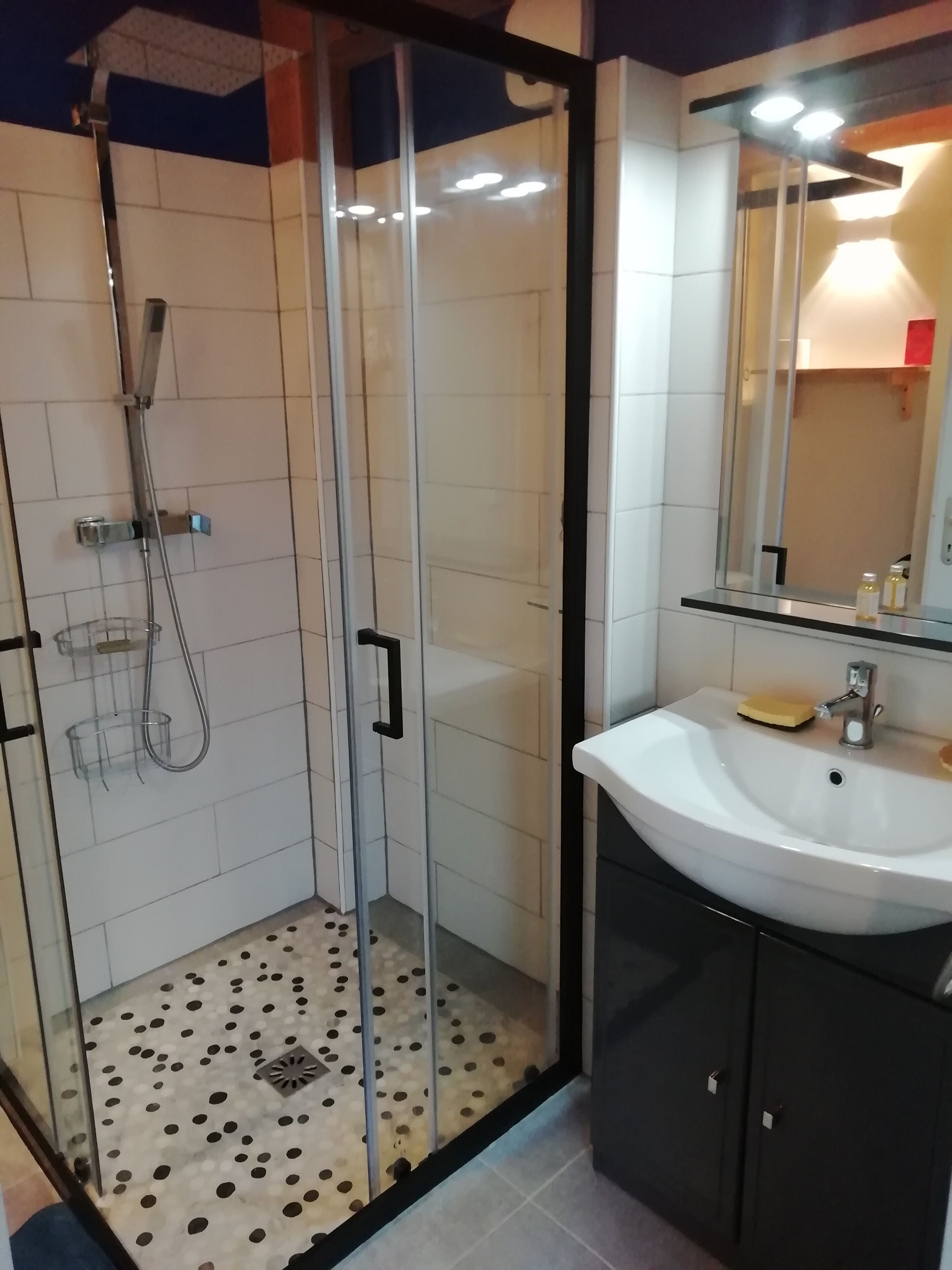 Articles de toilette écologiques, sèche-cheveux, serviettes fournies