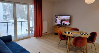 Family Homes - Apartament Nowe Hallerowo