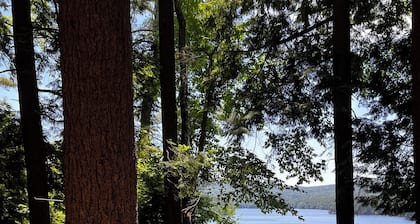 Lakefront Cabin & Campsite in the Adirondacks - Lake George/Saratoga vicinity.