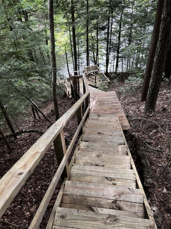 Property grounds. Lakefront Cabin & Campsite in the Adirondacks - Lake George/Saratoga vicinity.