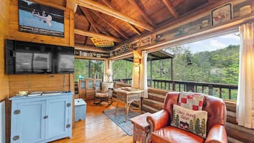 Fernseher, Kamin, DVD-Player, Arbeitsbereiche