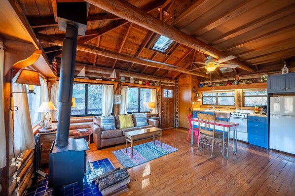 Een televisie, een open haard en een dvd-speler