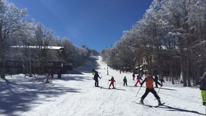 A ski slope with skiers, trees, and buildings. - Hotel Parco dei Faggi - Monte Amiata (Seggiano)