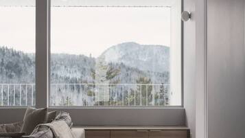 Televisión, chimenea, libros y estéreo