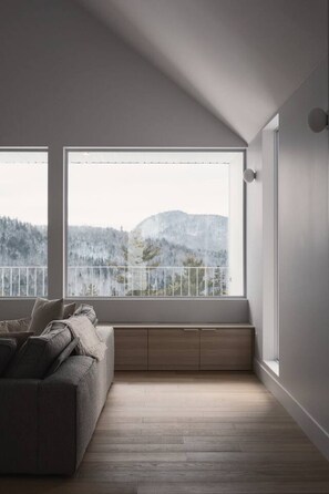 TV, fireplace, books, stereo