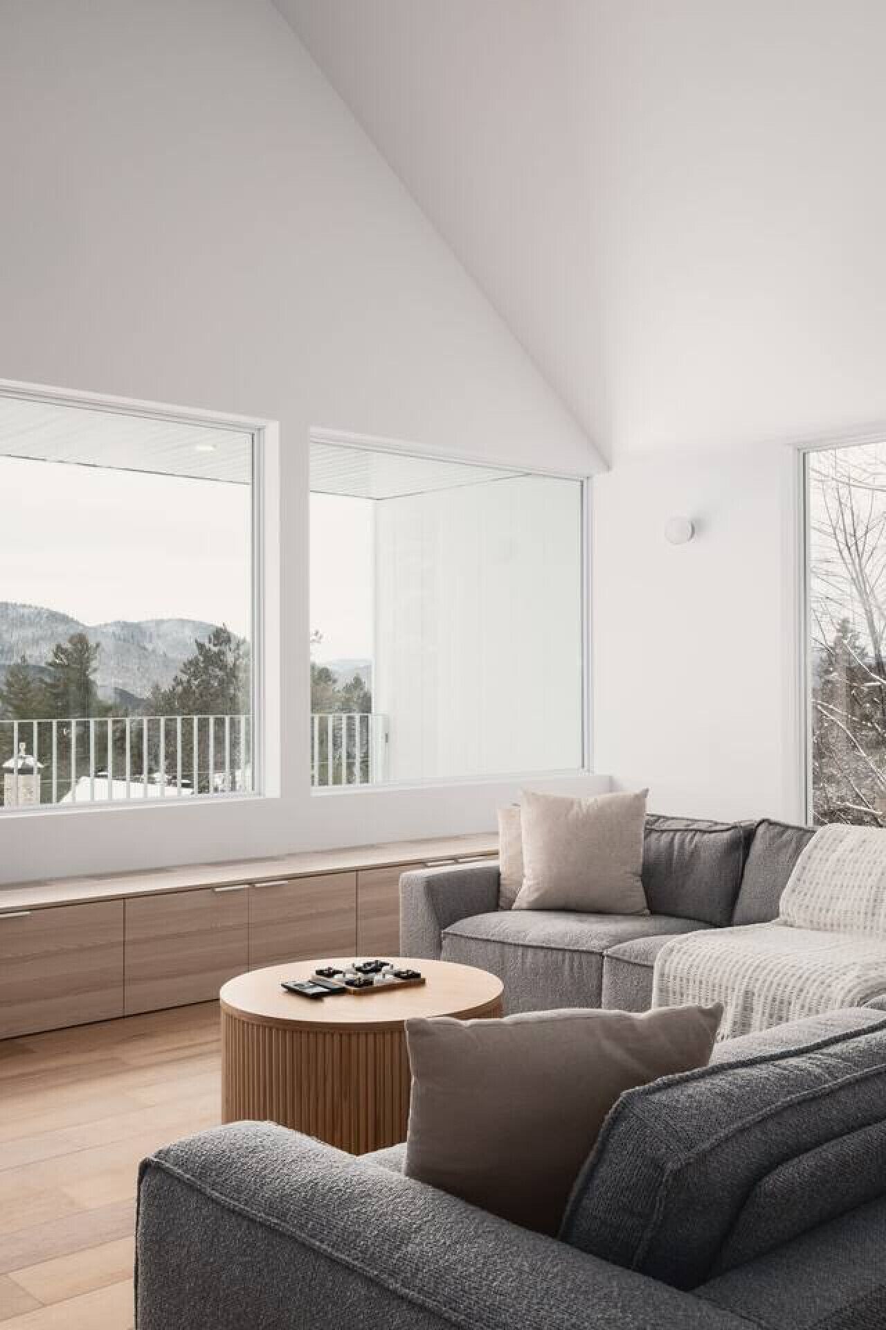 Télévision, cheminée, livres, chaîne hi-fi