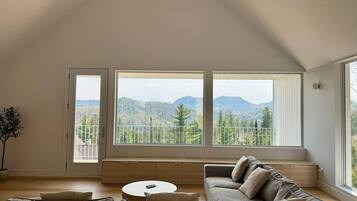 TV, peis, bøker og stereoanlegg