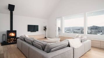 Télévision, cheminée, livres, chaßne hi-fi