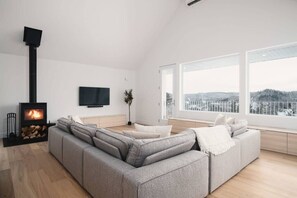 TV, fireplace, books, stereo