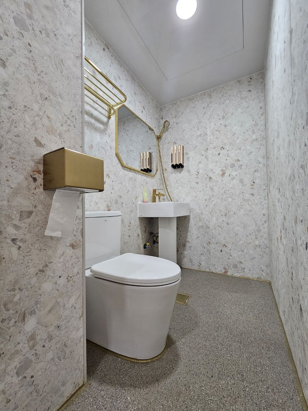 A bathroom with a white toilet, a pedestal sink, and a shower with a gold faucet.
